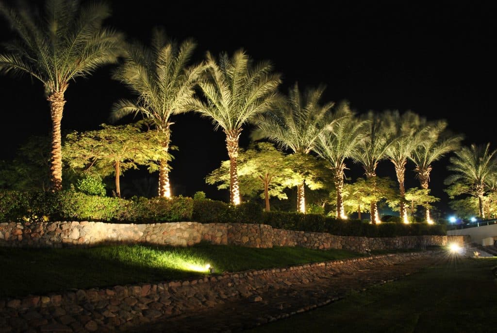Commercial Landscape Lighting